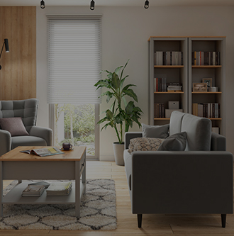 Kategorija Viesistabas mēbeles