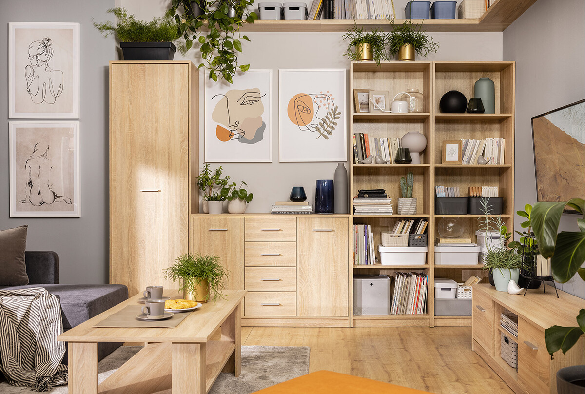 Mēbeļu kolekcija Novsore