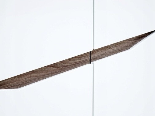 Skapis Salsevi 107
