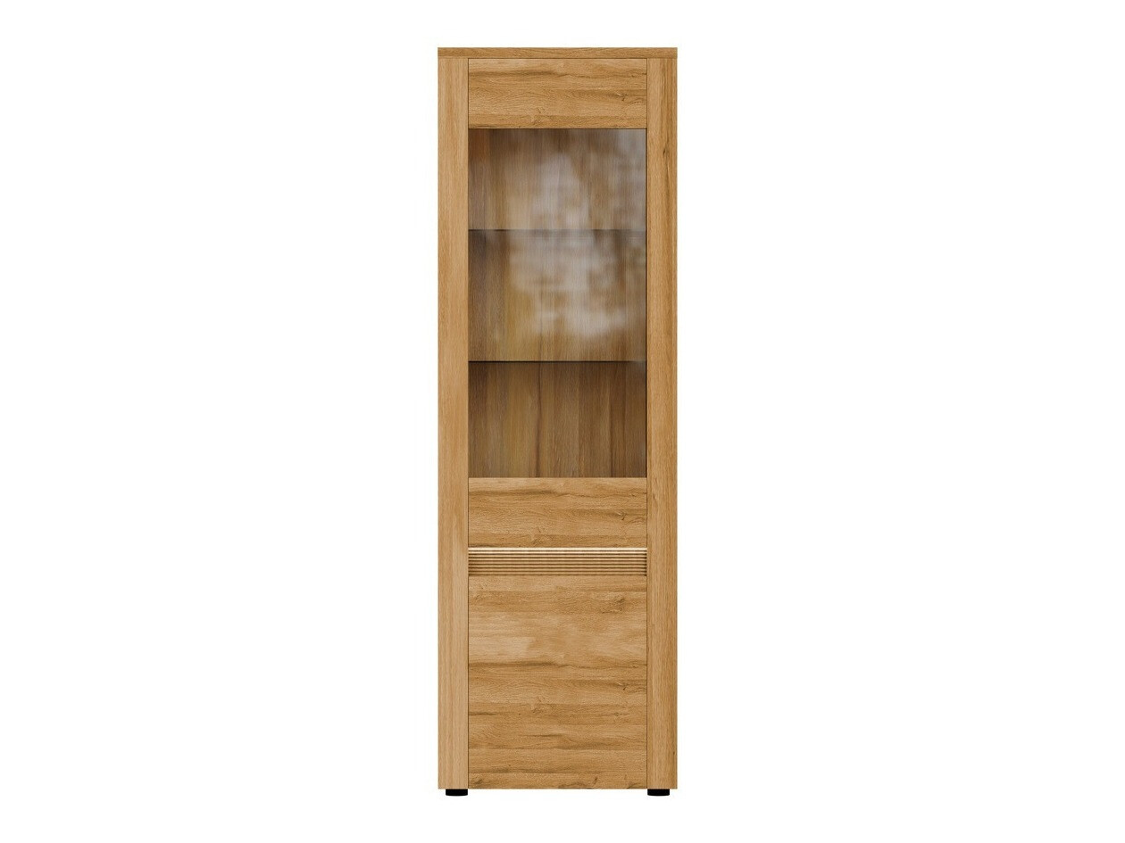 Plaukts Sonciro 104