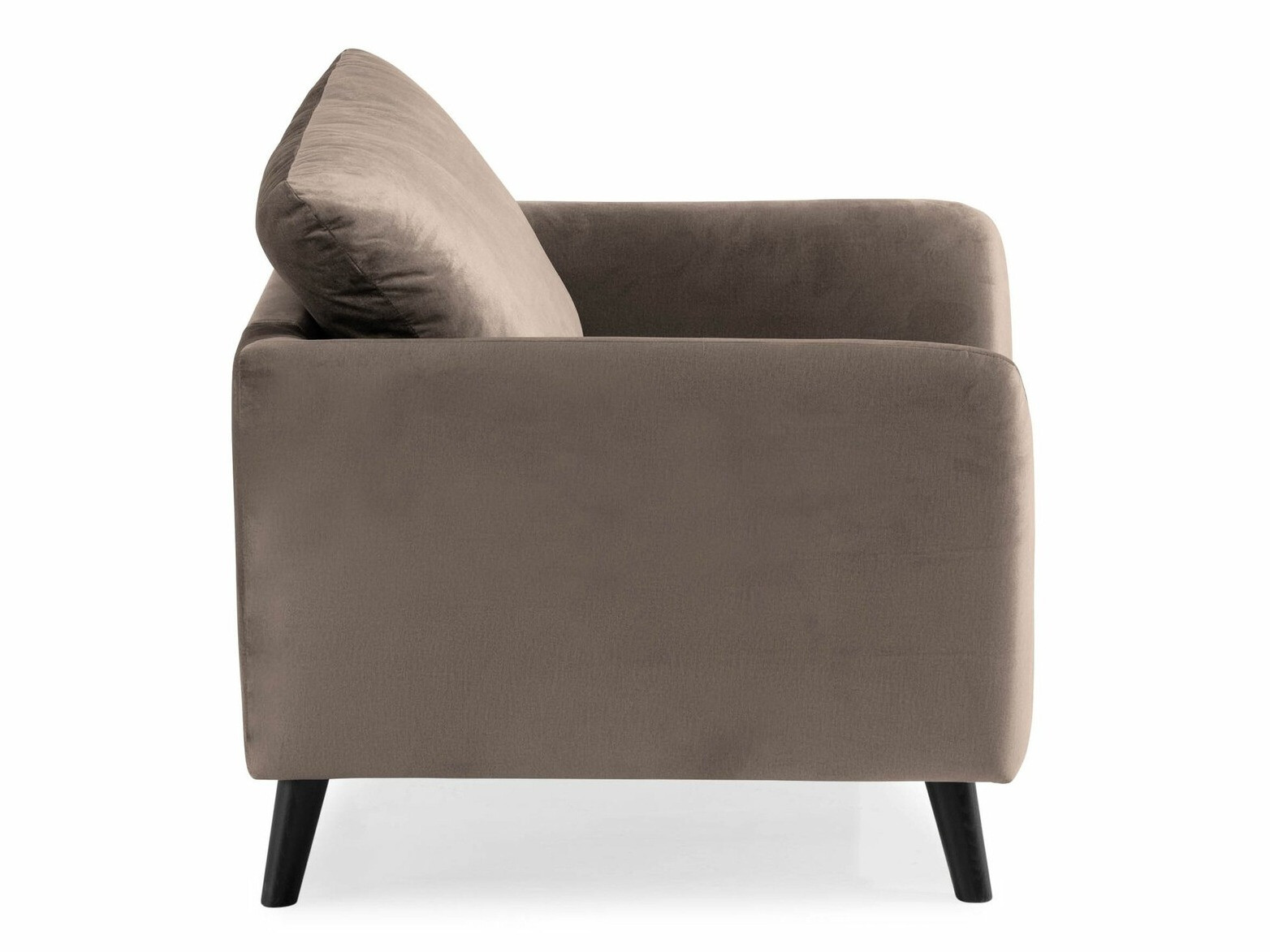Atpūtas krēsls Scandinavian Choice Catmori 101 (Monolith 95)