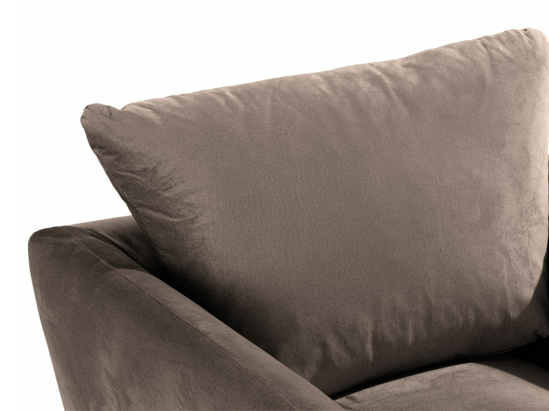 Atpūtas krēsls Scandinavian Choice Catmori 101 (Monolith 95)
