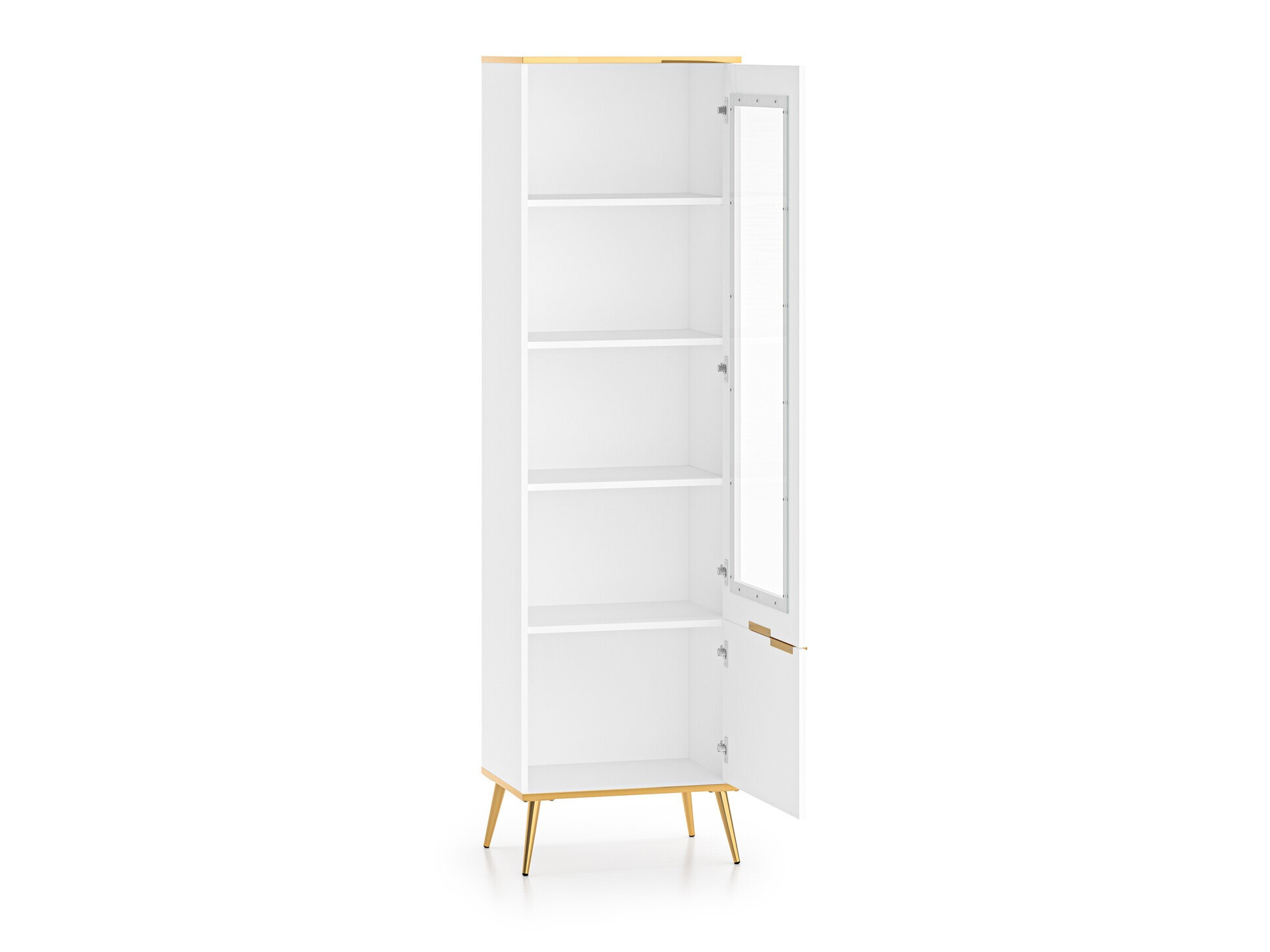 Plaukts Odenovu 101