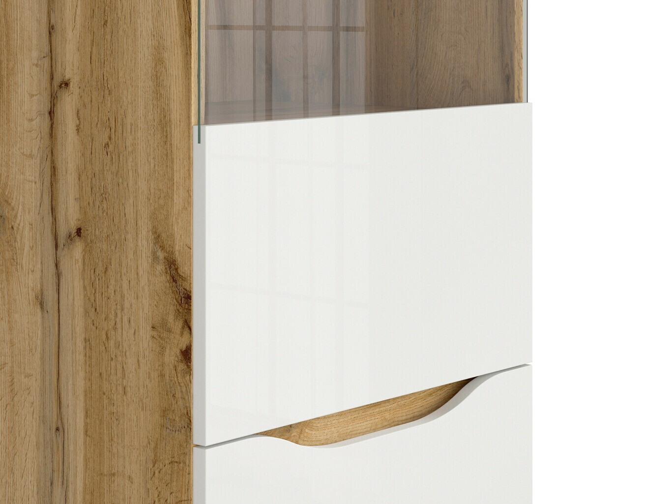 Plaukts Avifera 105