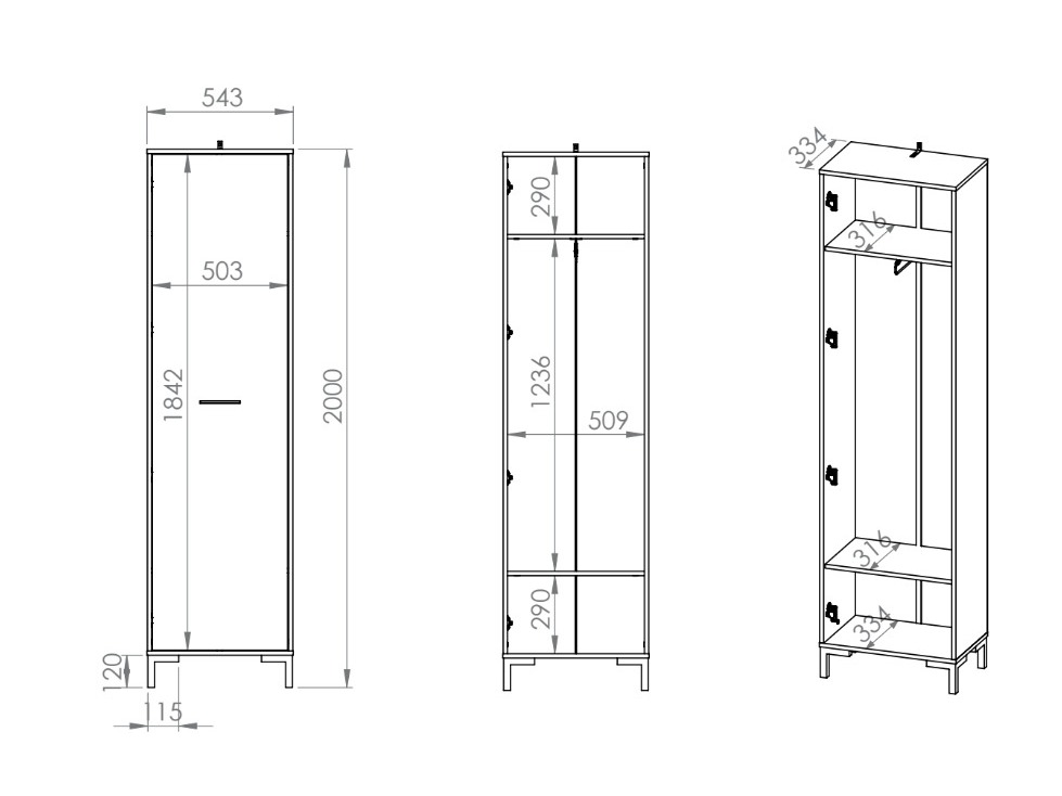 Skapis Fiolevo 100