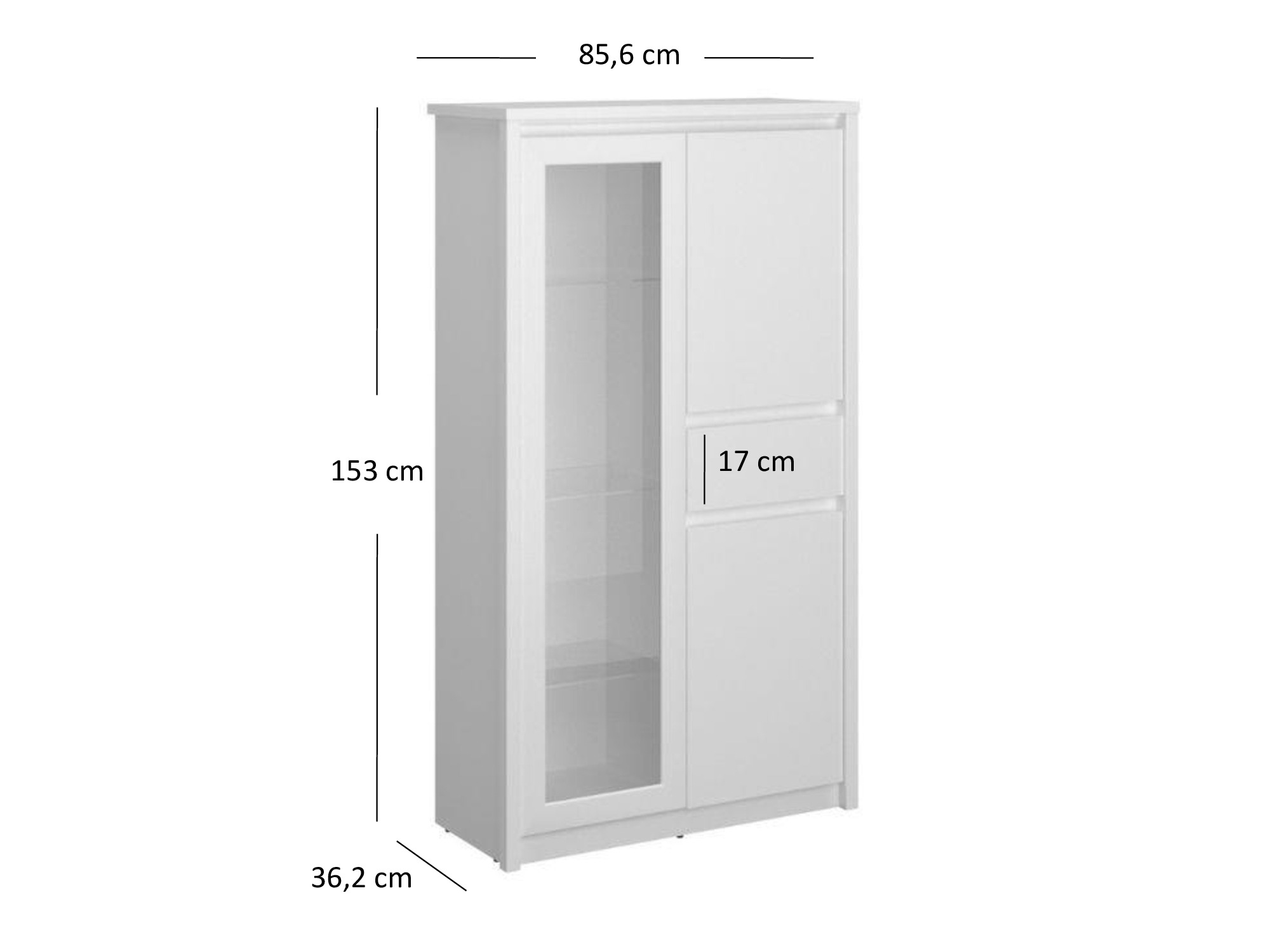 Plaukts Lomleve 120