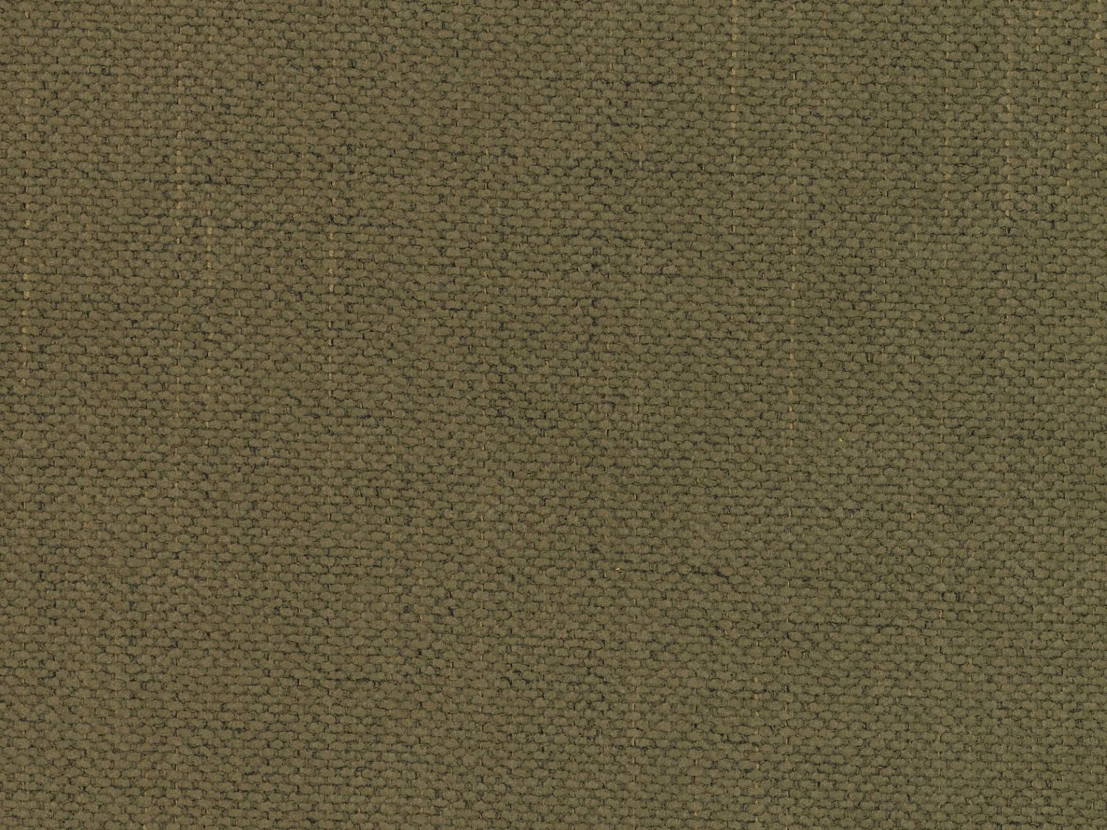 Gulta Beckley 336 (Moly 38)