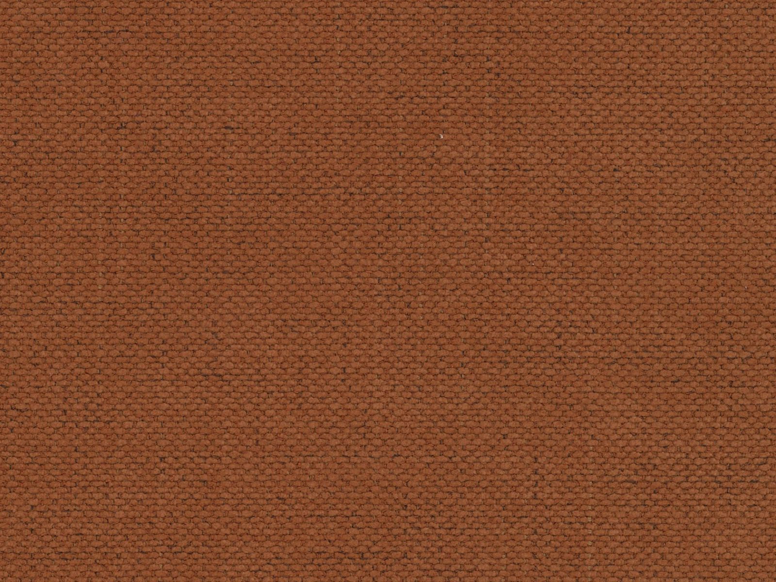 Gulta Beckley 336 (Moly 54)