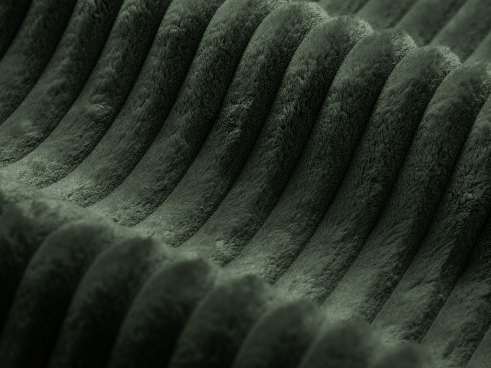 Gulta Sorcoro 117 (Tilia 39)