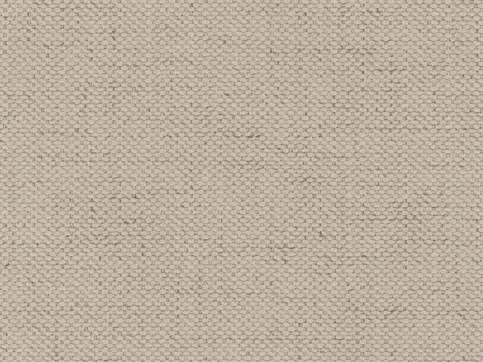 Gulta Cirleve 113 (Moly 11)