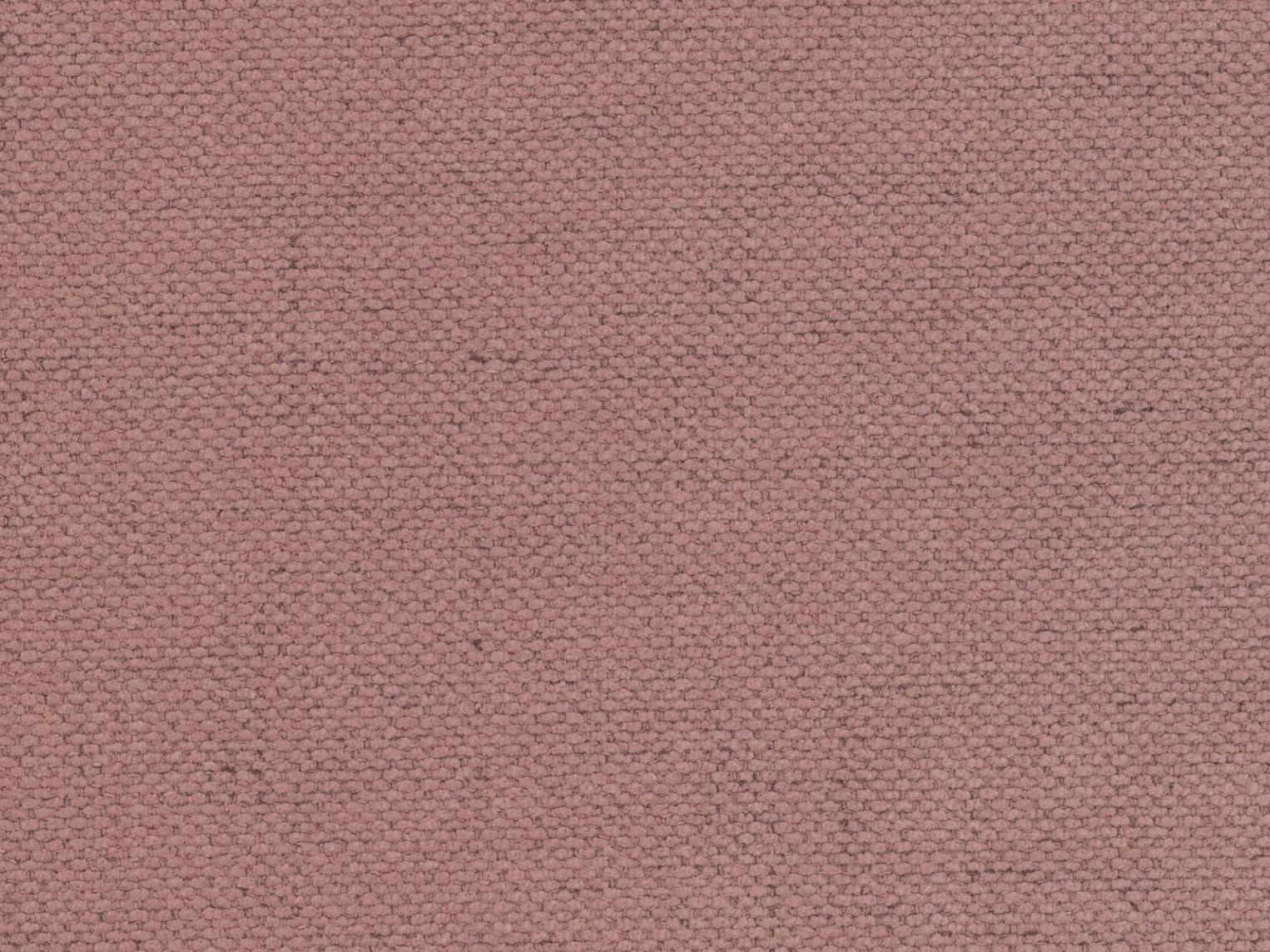 Gulta Cirleve 113 (Moly 63)