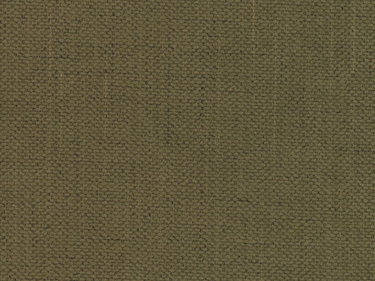 Gulta Cirleve 113 (Moly 38)