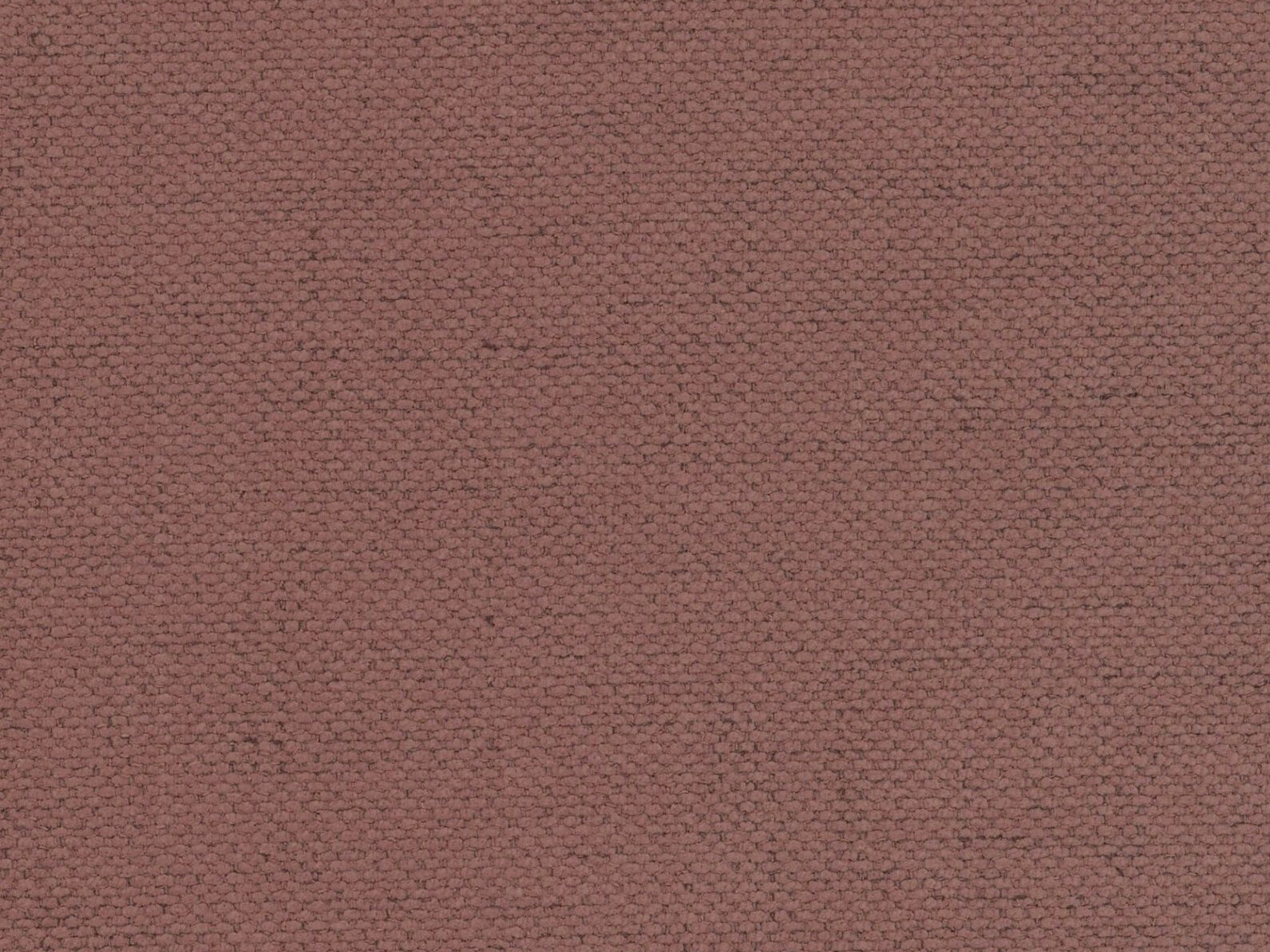 Dīvāns gulta Beckley 358 (Moly 63)