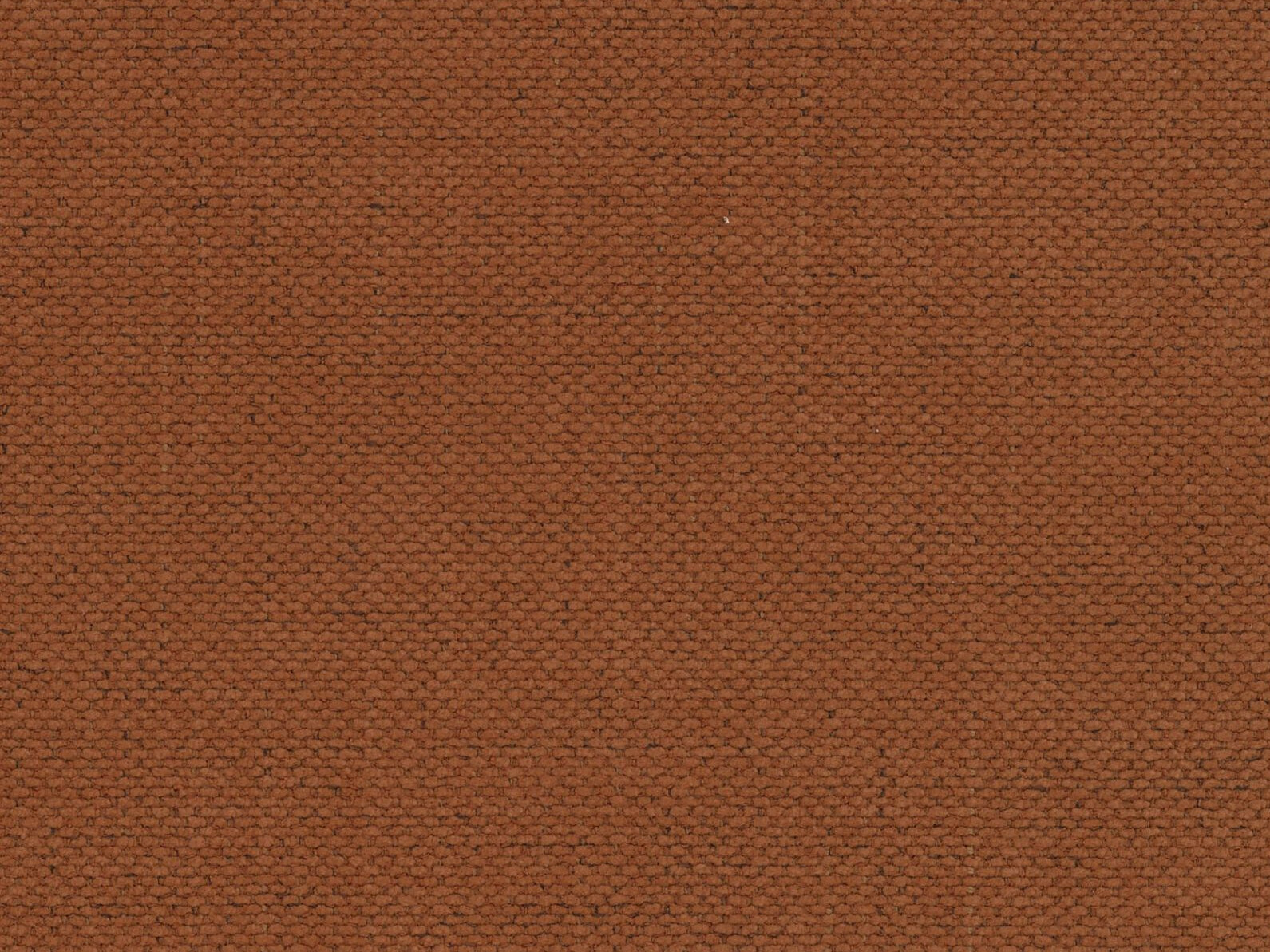 Dīvāns gulta Beckley 358 (Moly 54)