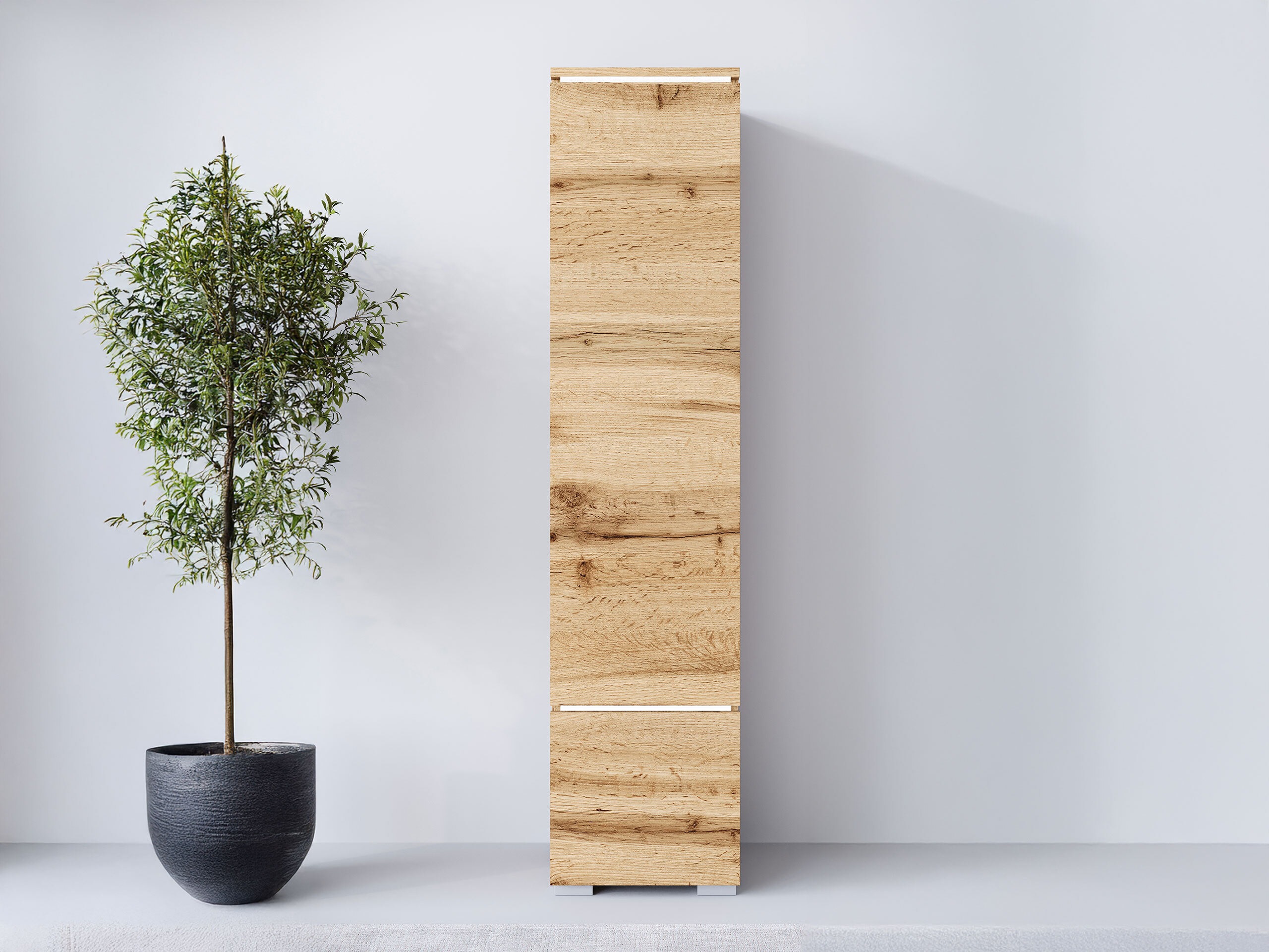 Plaukts Mirfivo 108 (Votan ozols)