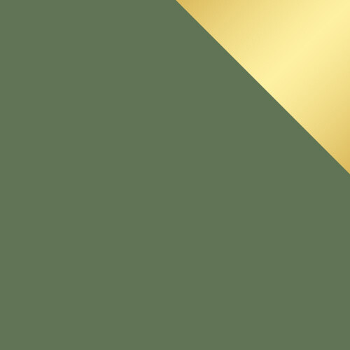 Мебельный гарнитур Dortivu 121 (Зелёный)