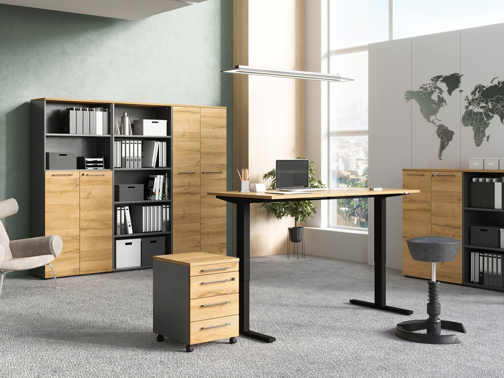 Plaukts Eliromo 106 (Grafīts + Grandson ozols)