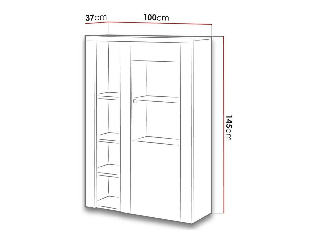 Plaukts Salelbo 104 (Rieksts)