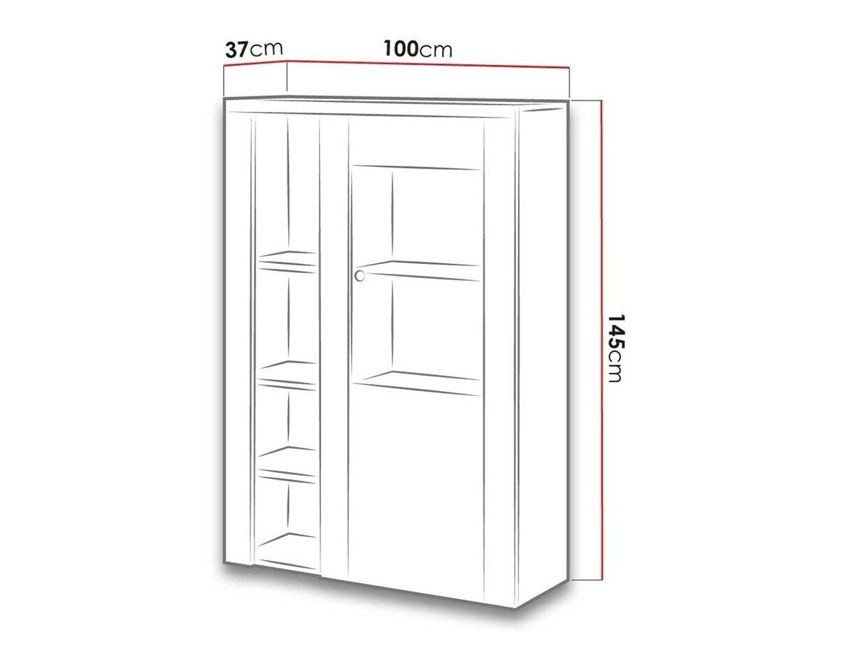 Plaukts Salelbo 104 (Sīpolu lapegle + Trifele ozols)