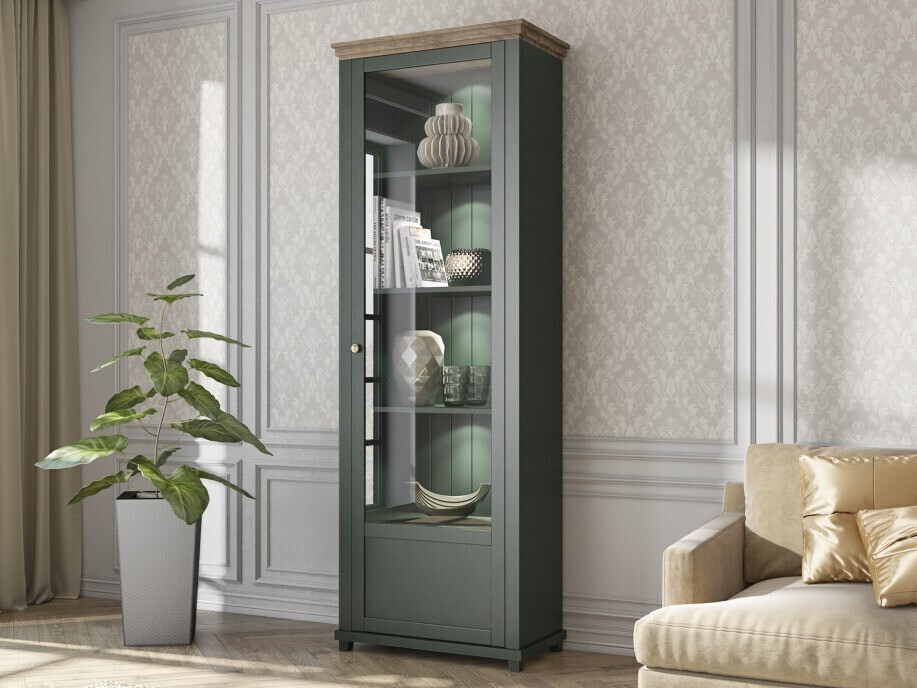 Стеллаж Tolnue 101 (Темно-зеленый + Дуб лефкас)