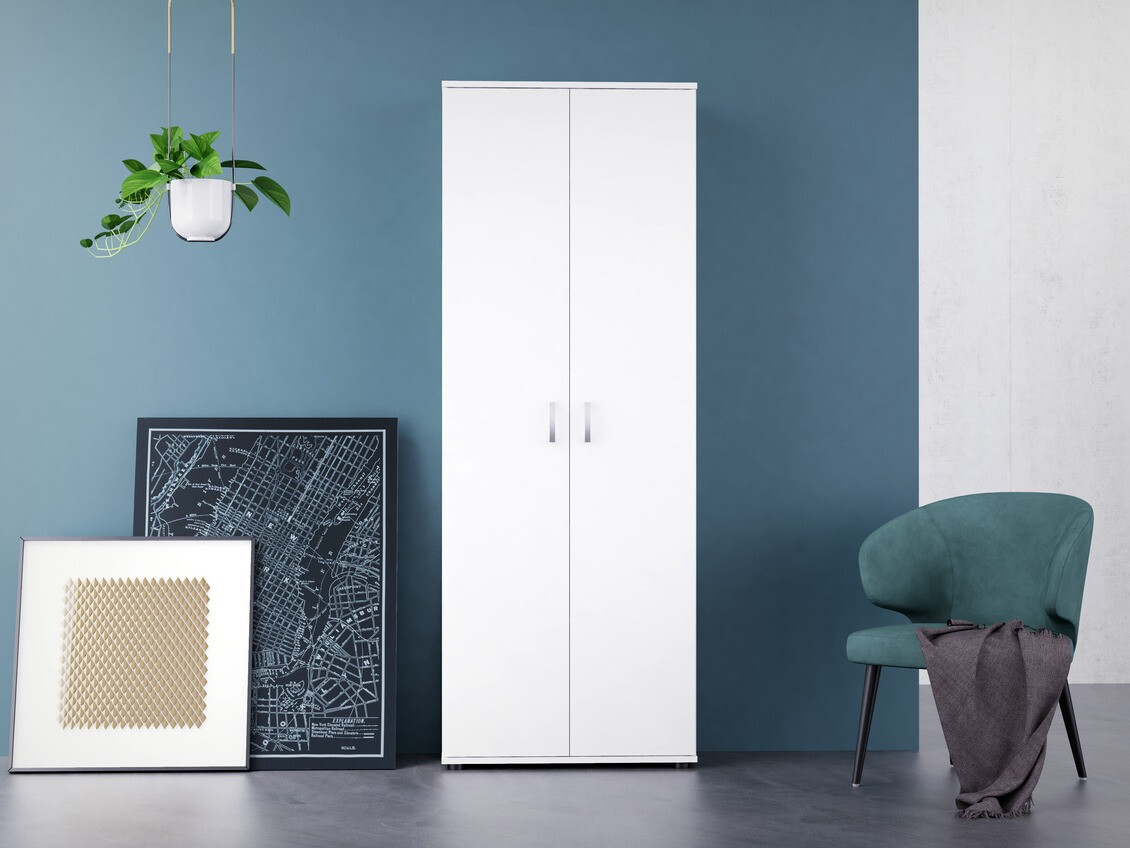 Plaukts Bristol 135 (Balts)