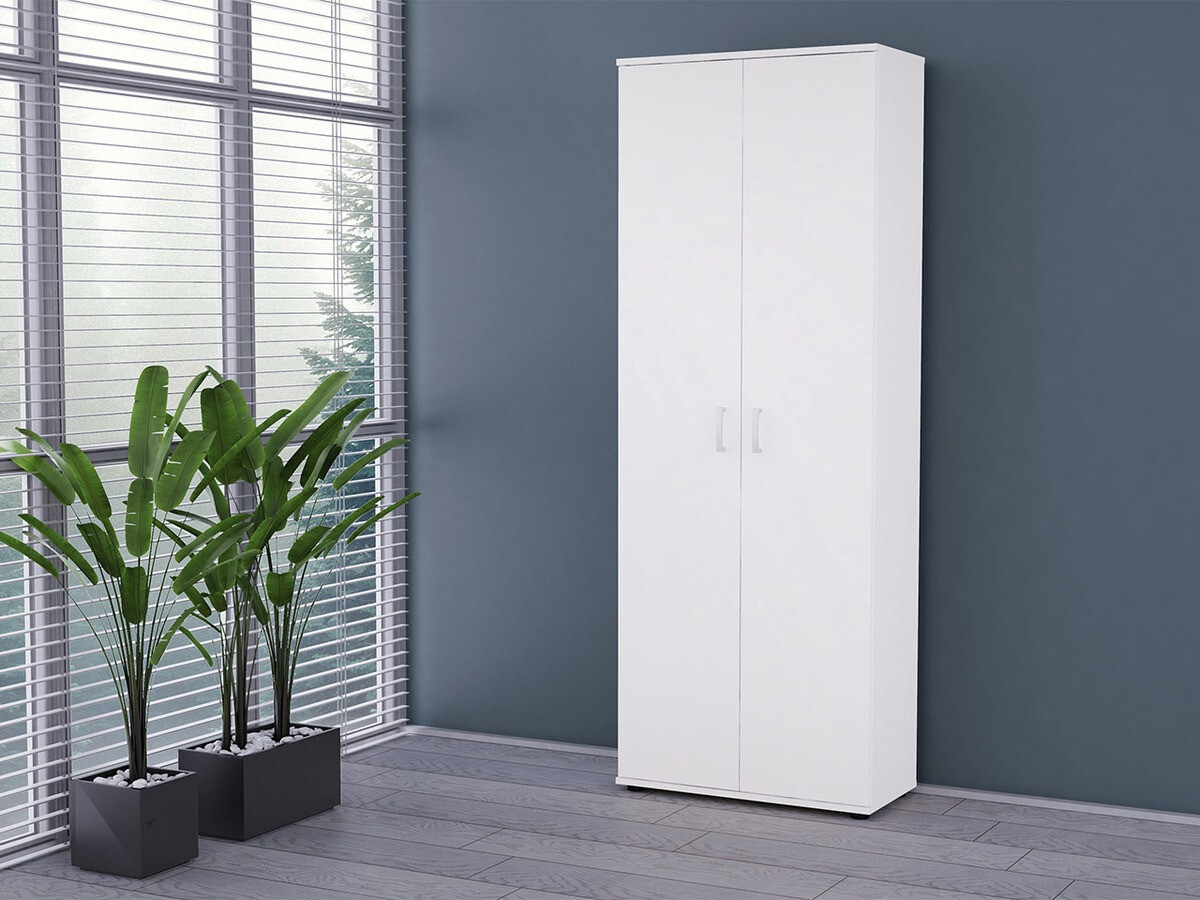 Plaukts Bristol 135 (Balts)