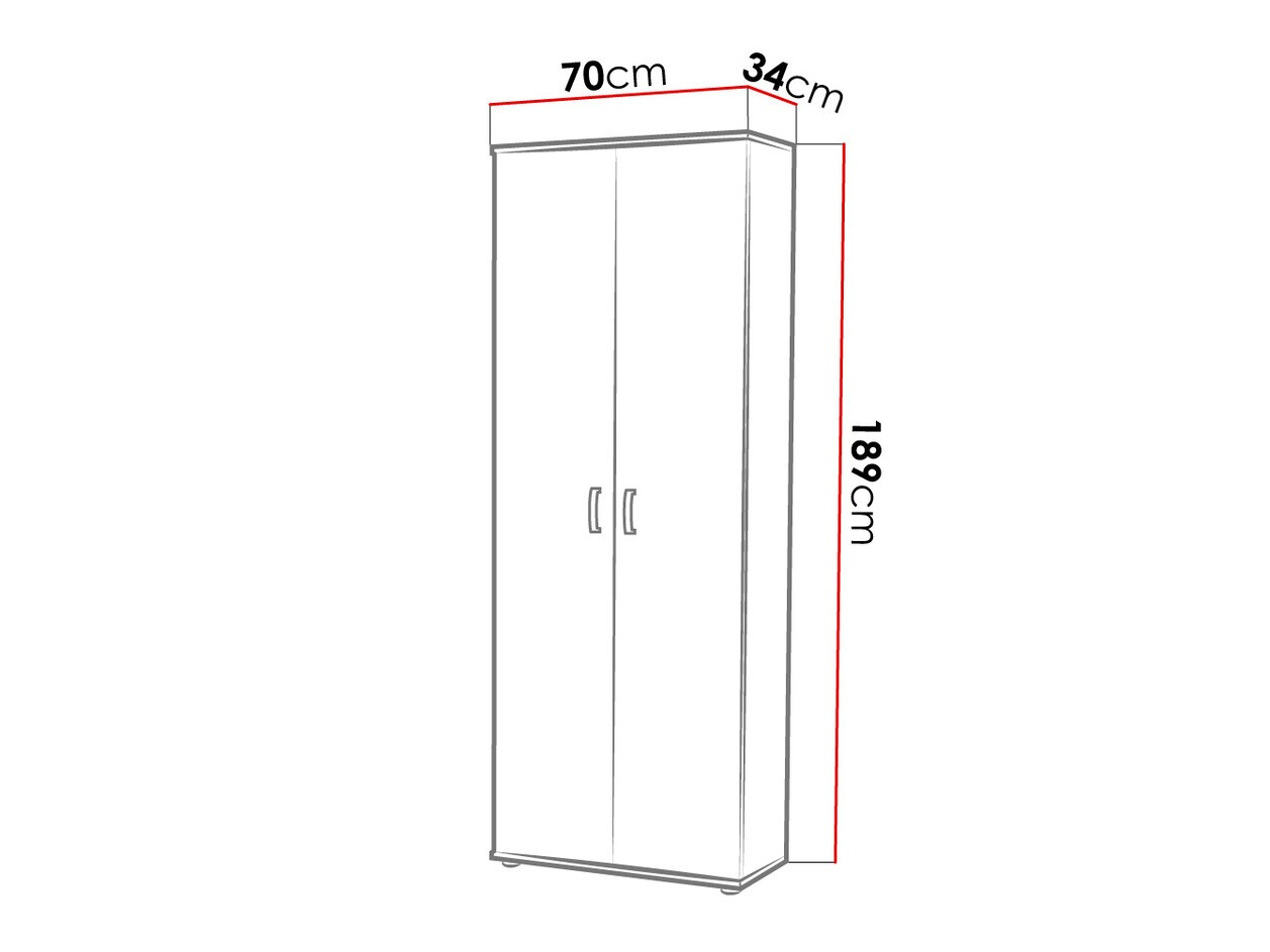 Plaukts Bristol 135 (Balts)