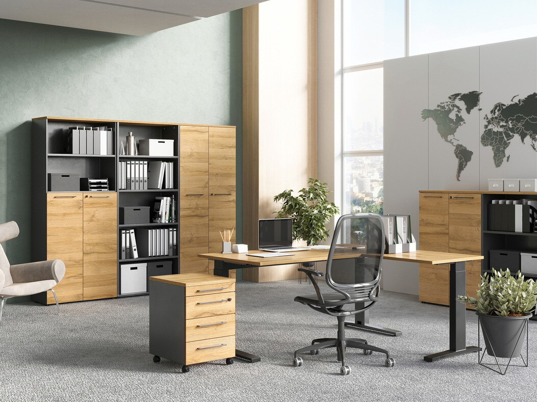 Стеллаж Eliromo 111 (Графит + Внук дуб)