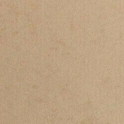 Kontinentālā gulta Baltimore 161 (Mikrofaza 05)