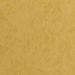 Kontinentālā gulta Baltimore 161 (Mikrofaza 07)