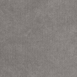 Kontinentālā gulta Baltimore 161 (Mikrofaza 14)