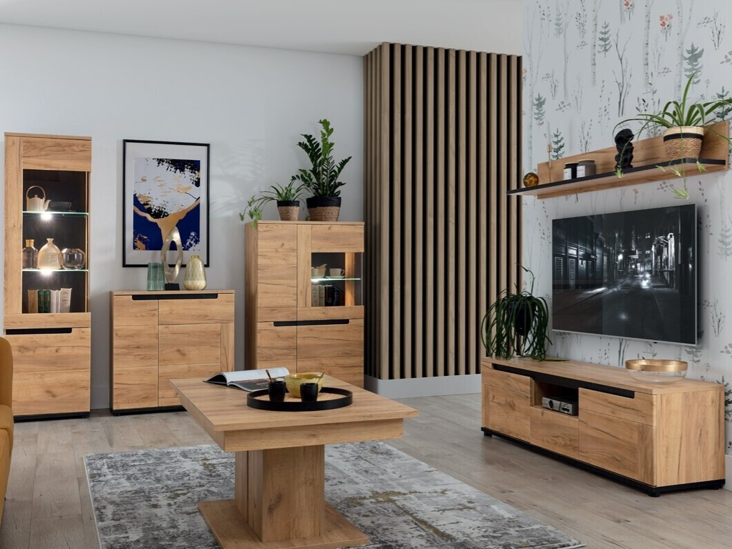 Kомод Remlevi 101