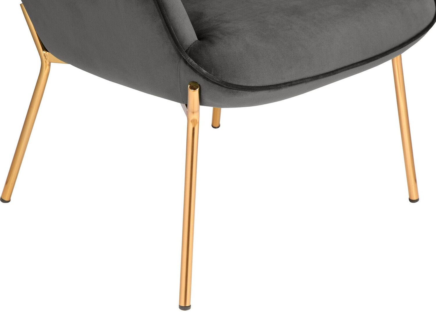 Atpūtas krēsls Denton 530 (Pelēks + Zelta)