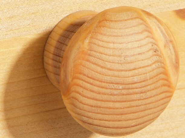 Plaukts Denton 238 (Priede)