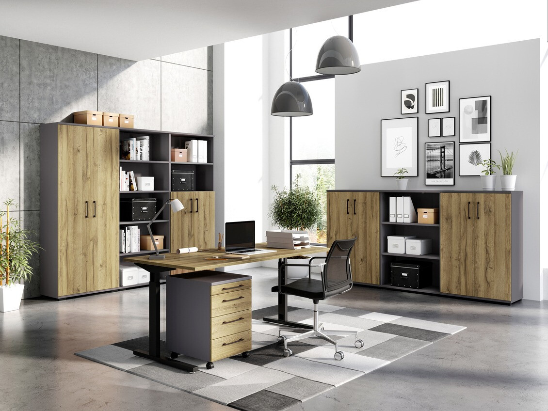 Plaukts Lartesi 100 (Grafīts)