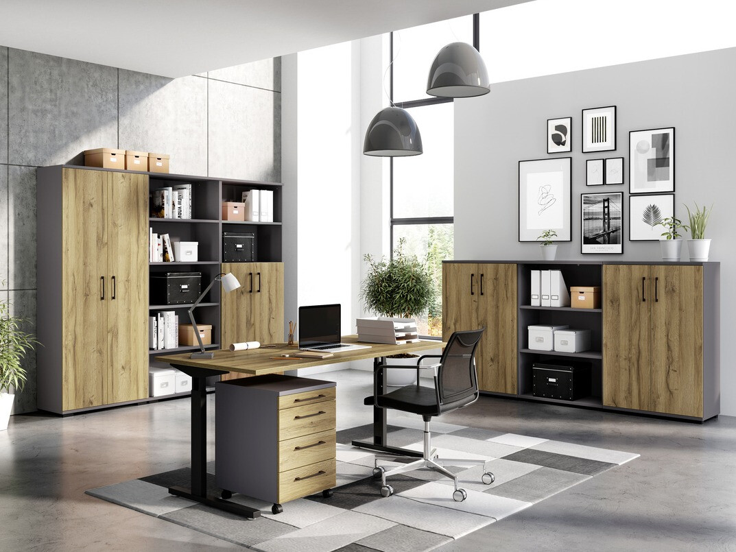 Skapis Lartesi 101 (Grafīts + Grandson ozols)