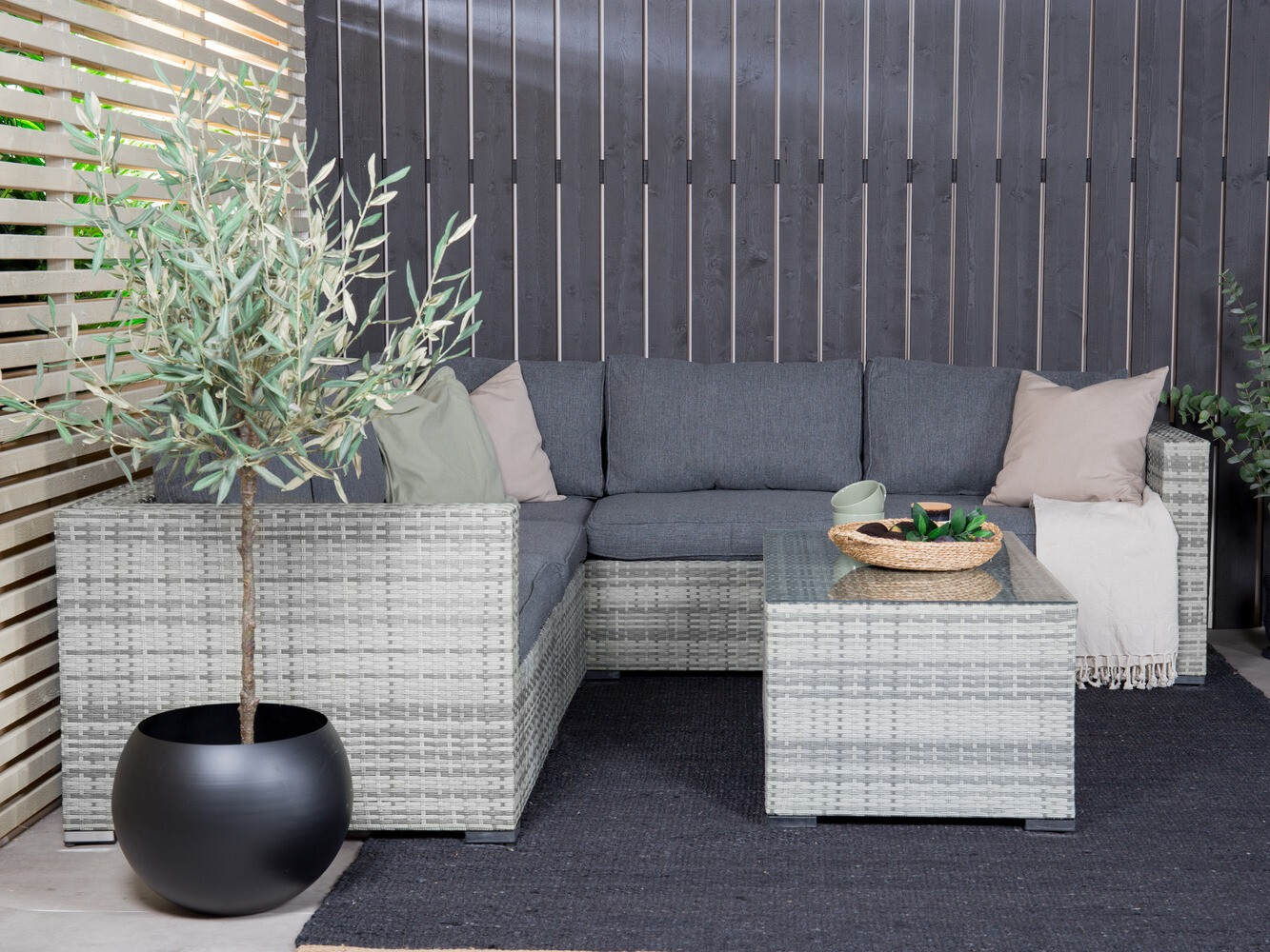 Dārza mēbeļu komplekts Dallas 658