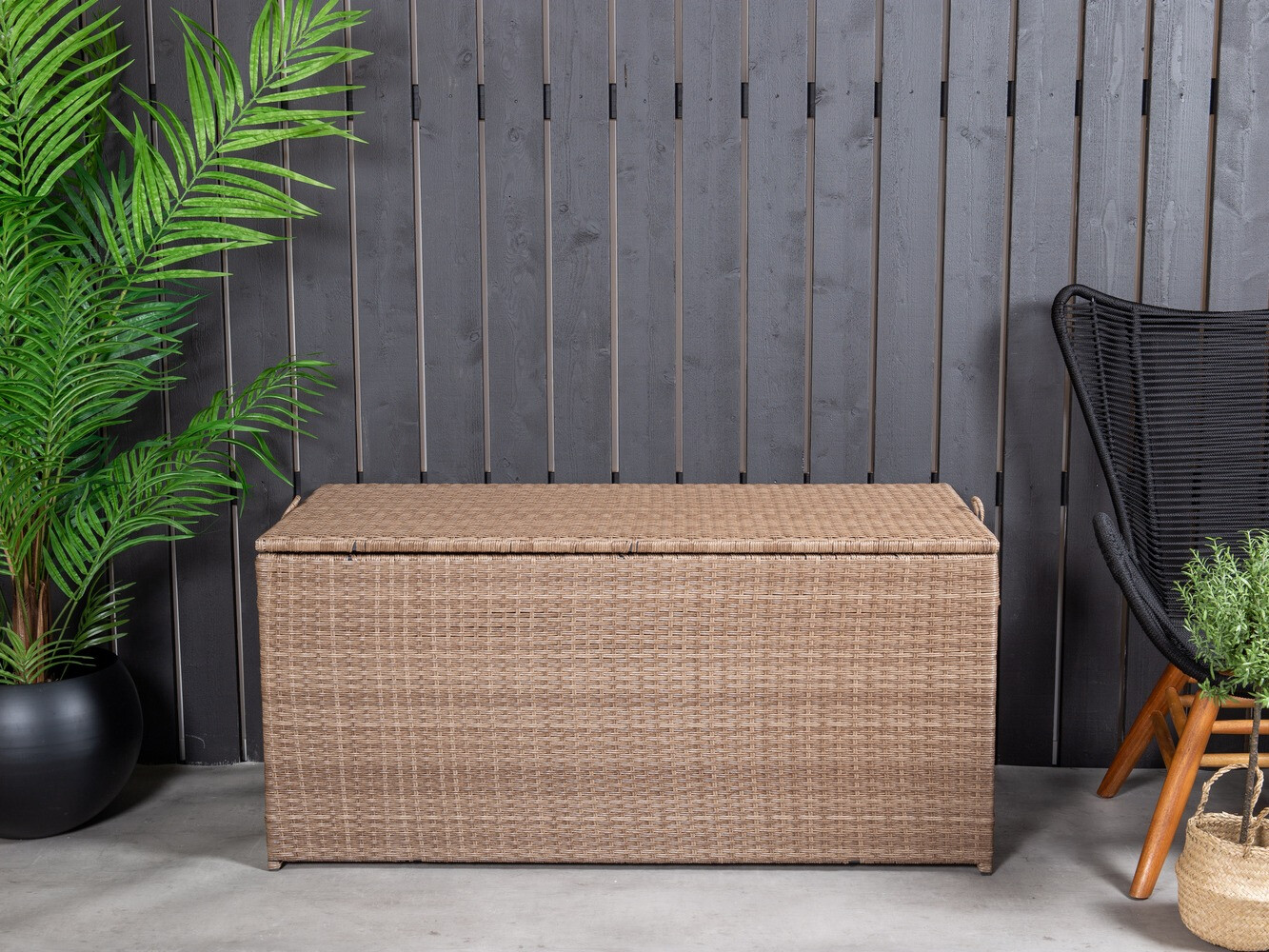 Dārza uzglabāšanas kaste Dallas 803