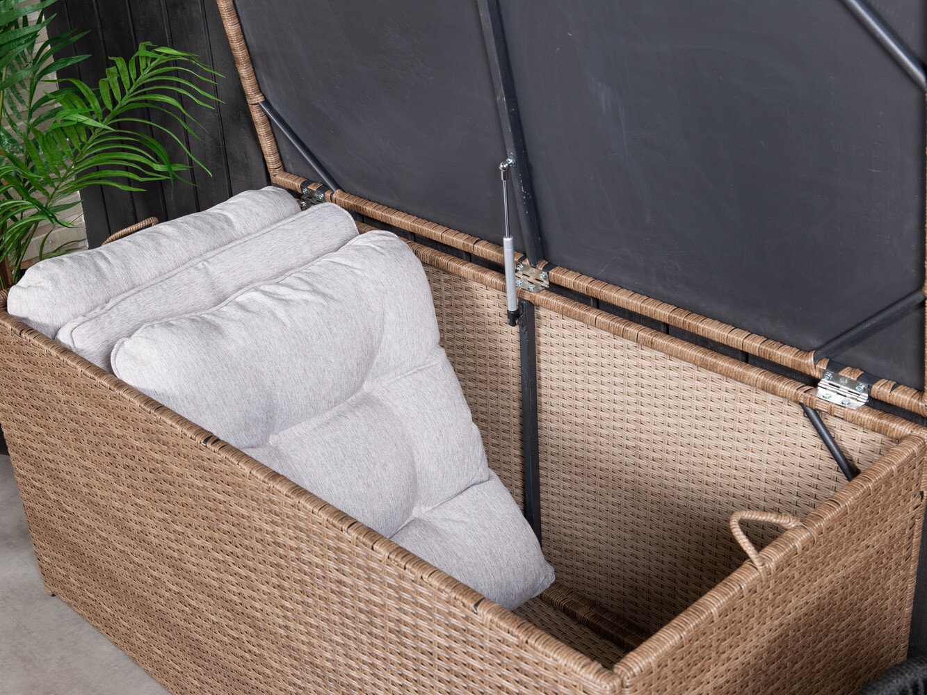 Dārza uzglabāšanas kaste Dallas 803