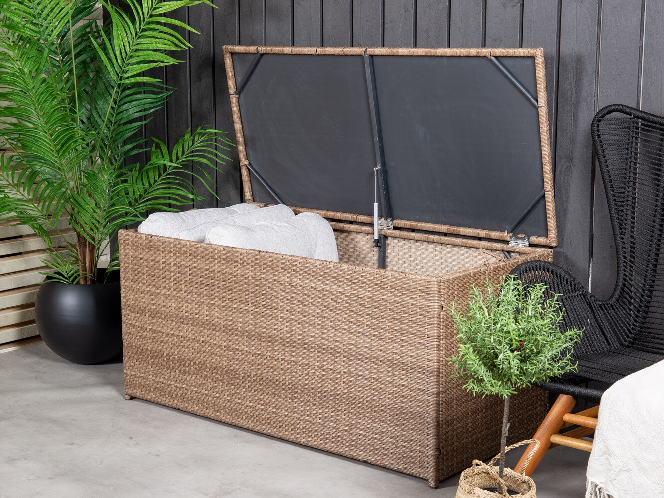 Dārza uzglabāšanas kaste Dallas 803