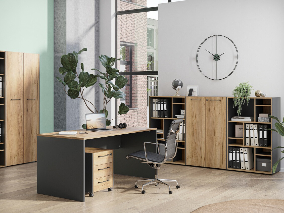 Atvilktņu bloks Fivcalu 100 (Navarra ozols + Grafīts)