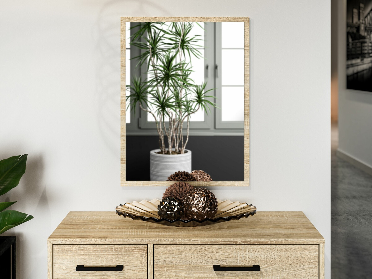 Spogulis Camtesu 124