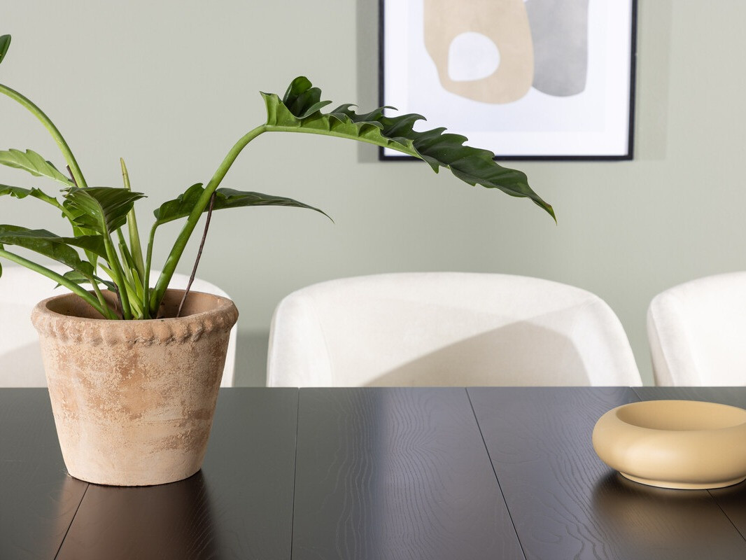 Ēdamistabas komplekts Dallas 3961