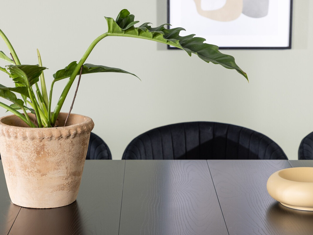 Ēdamistabas komplekts Dallas 3966