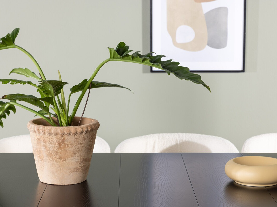 Обеденный гарнитур Dallas 3962