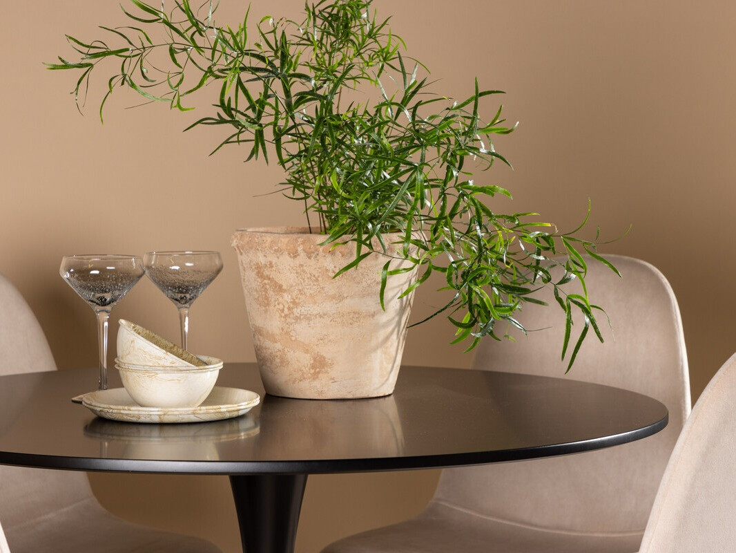 Ēdamistabas komplekts Dallas 4163 (Bēšs + Melns)