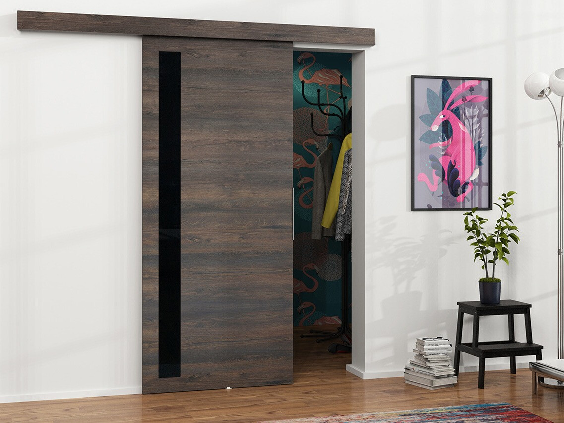 Раздвижные двери Dover 123 (Темный пепел + Чёрный)