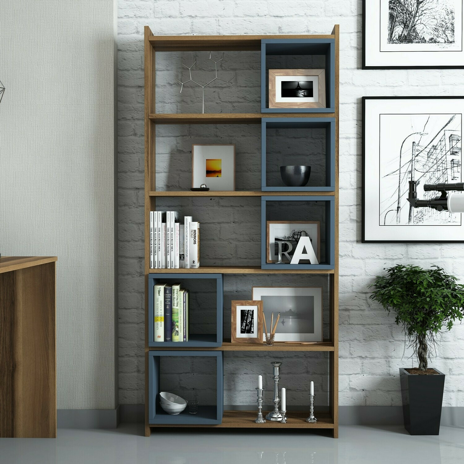 Plaukts Kailua 666 (Zils + Riekstkoks)