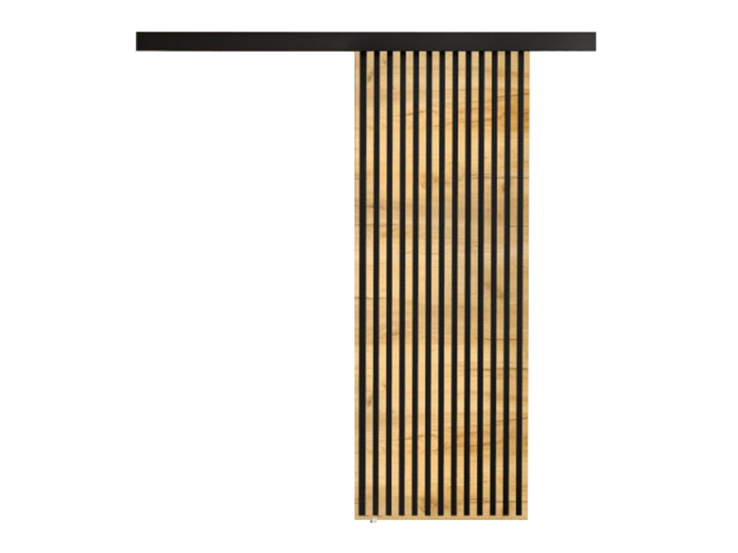 Раздвижные двери Dover 201 (Ремесло золотой дуб + Чёрный)