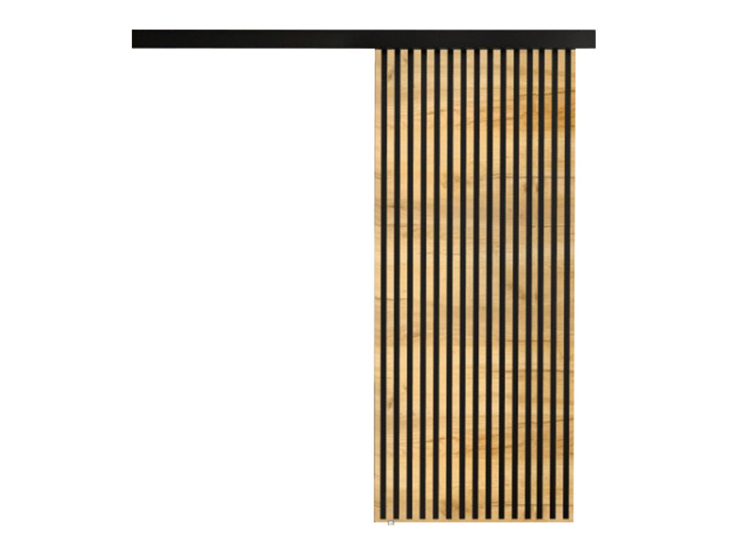 Раздвижные двери Dover 202 (Ремесло золотой дуб + Чёрный)